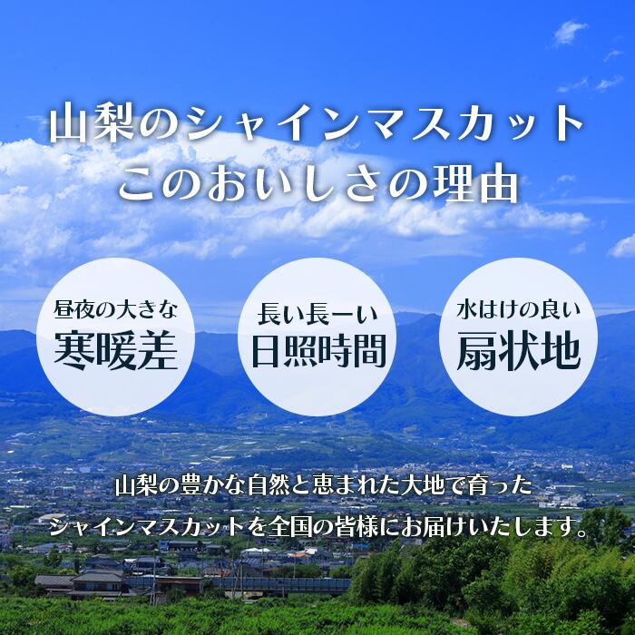 山梨県笛吹市の画像3