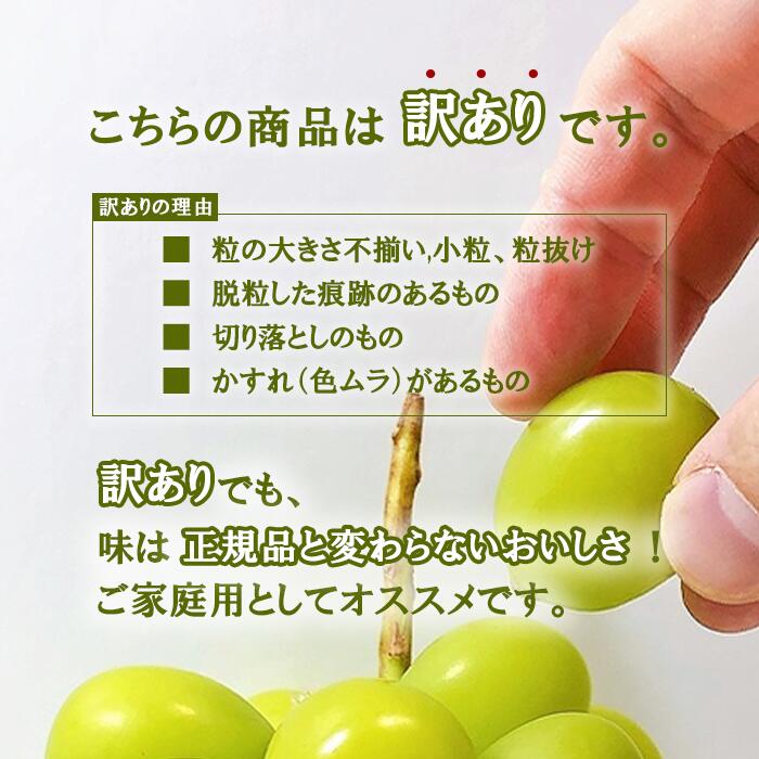 山梨県笛吹市の画像2