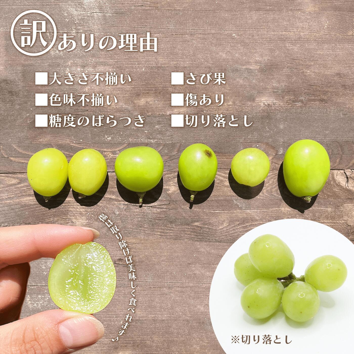 山梨県笛吹市の画像3