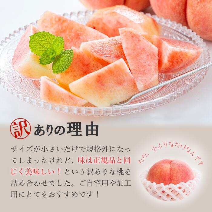 山梨県笛吹市の画像2