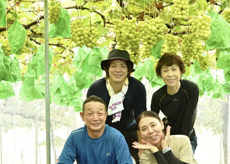 【ふるさと納税】＜2024年先行予約＞宮原さんちの朝どれシャインマスカット2kg ふるさと納税 笛吹市 国産 人気 期間…