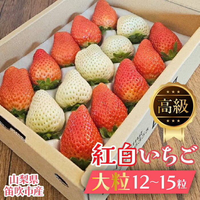 【ふるさと納税】贈答用 紅白いちご大粒12～15粒入り一箱 ふるさと納税 いちご イチゴ 苺 大粒 笛吹市 国産 人気 期間限定 果物 フルーツ 旬 ギフト 贈り物 プレゼント 贈答用 山梨県 送料無料 164-001のサムネイル