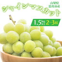 【ふるさと納税】<25年発送先行予約>シャインマスカット 2-3房入り 1.5kg以上 1箱 ふるさと納税 シャインマスカット 大粒 笛吹市 国産 人気 期間限定 ぶどう ブドウ 葡萄 贈り物 ギフト プレゼント 旬 果物 フルーツ 山梨県 送料無料 164-005