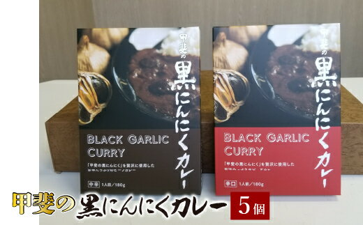 甲斐の黒にんにくカレー ふるさと納税 カレー 黒にんにく 笛吹市 カレーライス ニンニク 大蒜 健康 贈り物 ギフト プレゼント 山梨県 送料無料 082-009