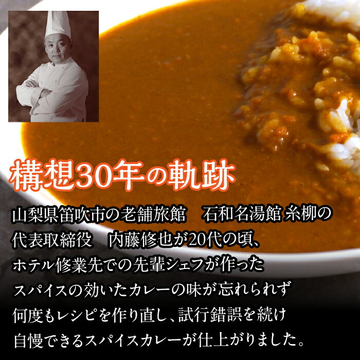 【ふるさと納税】ゴロっとビーフカレー 200gx3 ギフト箱入り 118-009 | ジョイアル ジョイアルカレー