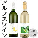 【ふるさと納税】アルプスワイン ひだまりの甲州・こもれびの甲州2本セット ふるさと納税 ワイン 笛吹市 山梨ワイン 酒 アルコール 山梨県 記念品 お祝い 送料...