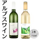 【ふるさと納税】アルプスワイン 甲州ドライ・こもれびの甲州2本セット ふるさと納税 ワイン 笛吹市 山梨ワイン 酒 アルコール 山梨県 記念品 お祝い 送料無料...