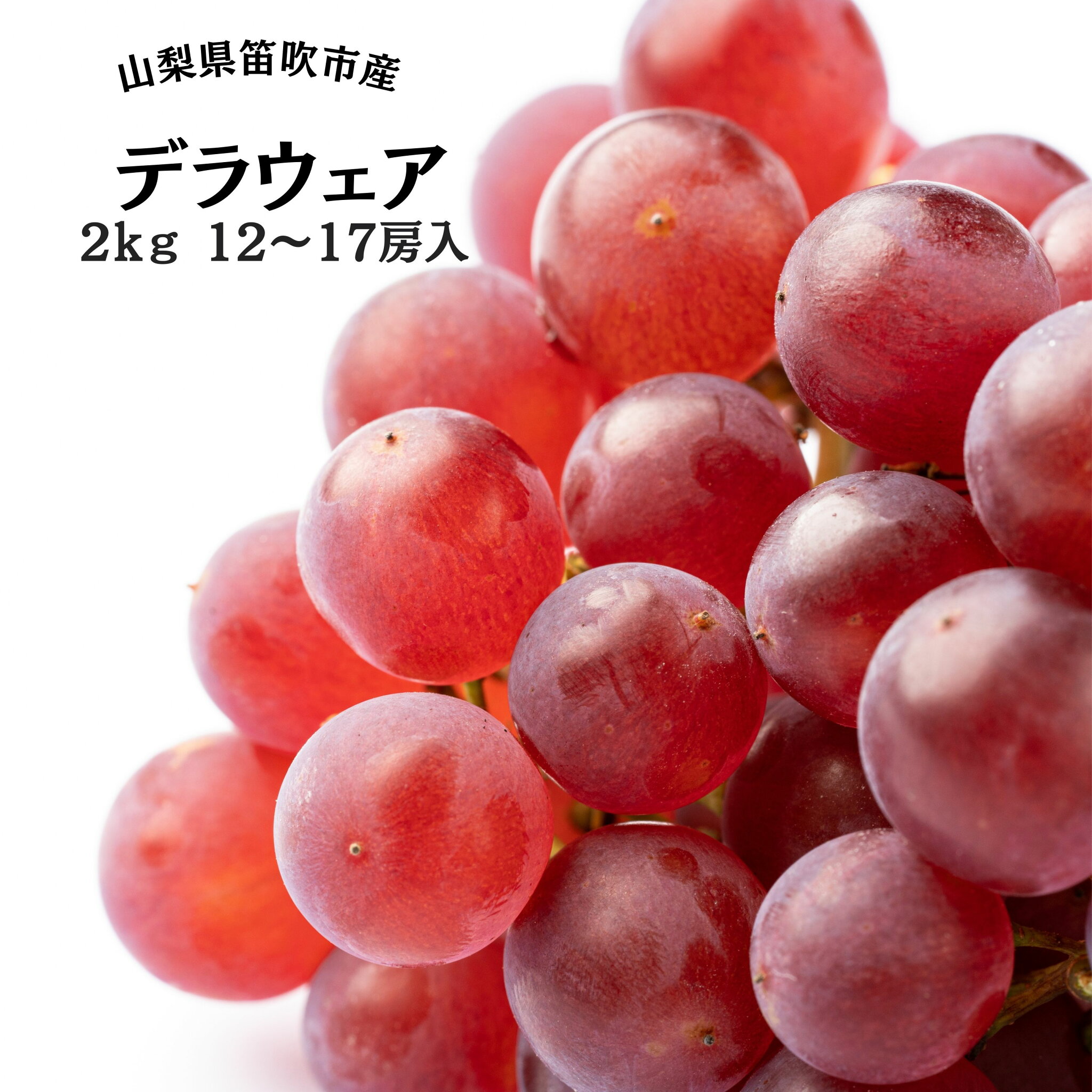 【ふるさと納税】<25年発送先行予約>笛吹市産デラウェア12〜17房 2kg ★レビューキャンペーン中(4月〜6月)ふるさと納税 デラウェア 笛吹市 国産 人気 期間限定 ぶどう ブドウ 葡萄 旬 果物 フルーツ 山梨県 送料無料 167-051