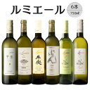 【ふるさと納税】ルミエール おすすめ白ワイン6本 ふるさと納税 ワイン 笛吹市 山梨ワイン 酒 アルコール 山梨県 記念品 お祝い 送料無料 167-132