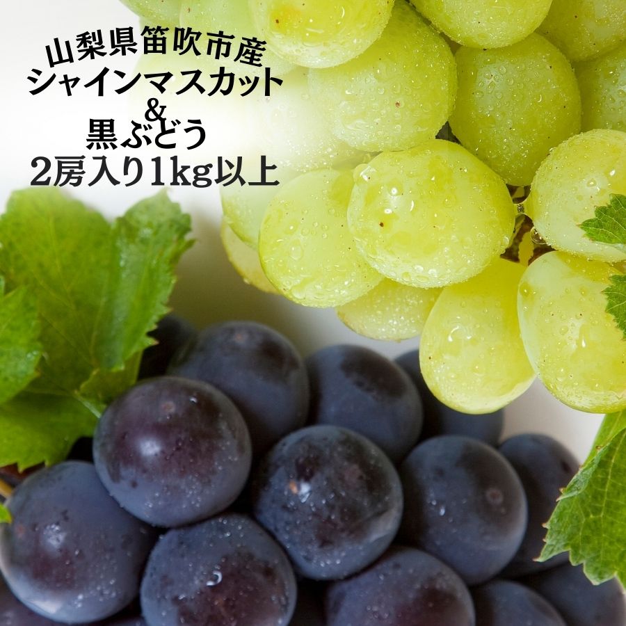 【ふるさと納税】<25年発送先行予約>笛吹市産旬の葡萄2房入り2色セット 1kg以上 ★レビューキャンペーン中(4月〜6月)ふるさと納税 シャインマスカット 笛吹市 国産 人気 期間限定 ぶどう ブドウ 葡萄 旬 果物 フルーツ 山梨県 送料無料 167-142