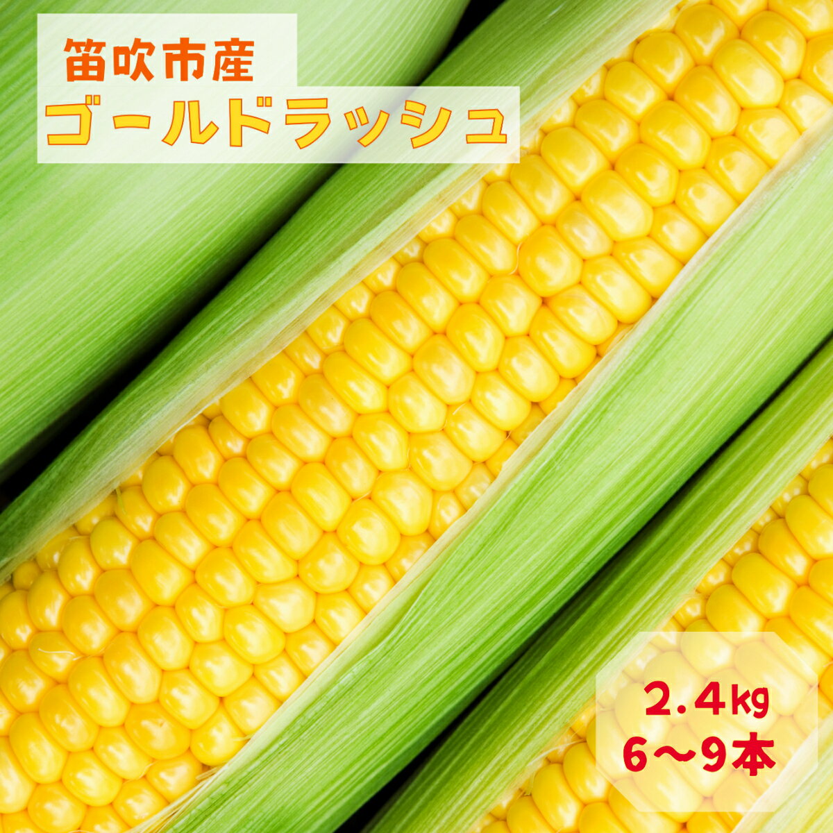 ＜2024年先行予約＞笛吹市八代産とうもろこし「ゴールドラッシュ」2.4kg ふるさと納税 ゴールドラッシュ とうもろこし トウモロコシ コーン とうきび 蒸し 焼き 野菜 山梨県 笛吹市 八代 送料無料 167-003