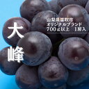 【ふるさと納税】【2026年発送★先行予約】『数量限定』御坂オリジナルブランド大峰700g~800g1房 ふるさと納税 大峰 笛吹市 国産 人気 期間限定 ぶどう ブドウ 葡萄 旬 果物 フルーツ 山梨県 送料無料 167-004