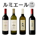 【ふるさと納税】ルミエール おすすめ赤白ワイン4本セット6 ふるさと納税 ワイン 笛吹市 山梨ワイン 酒 アルコール 山梨県 記念品 お祝い 送料無料 167-...