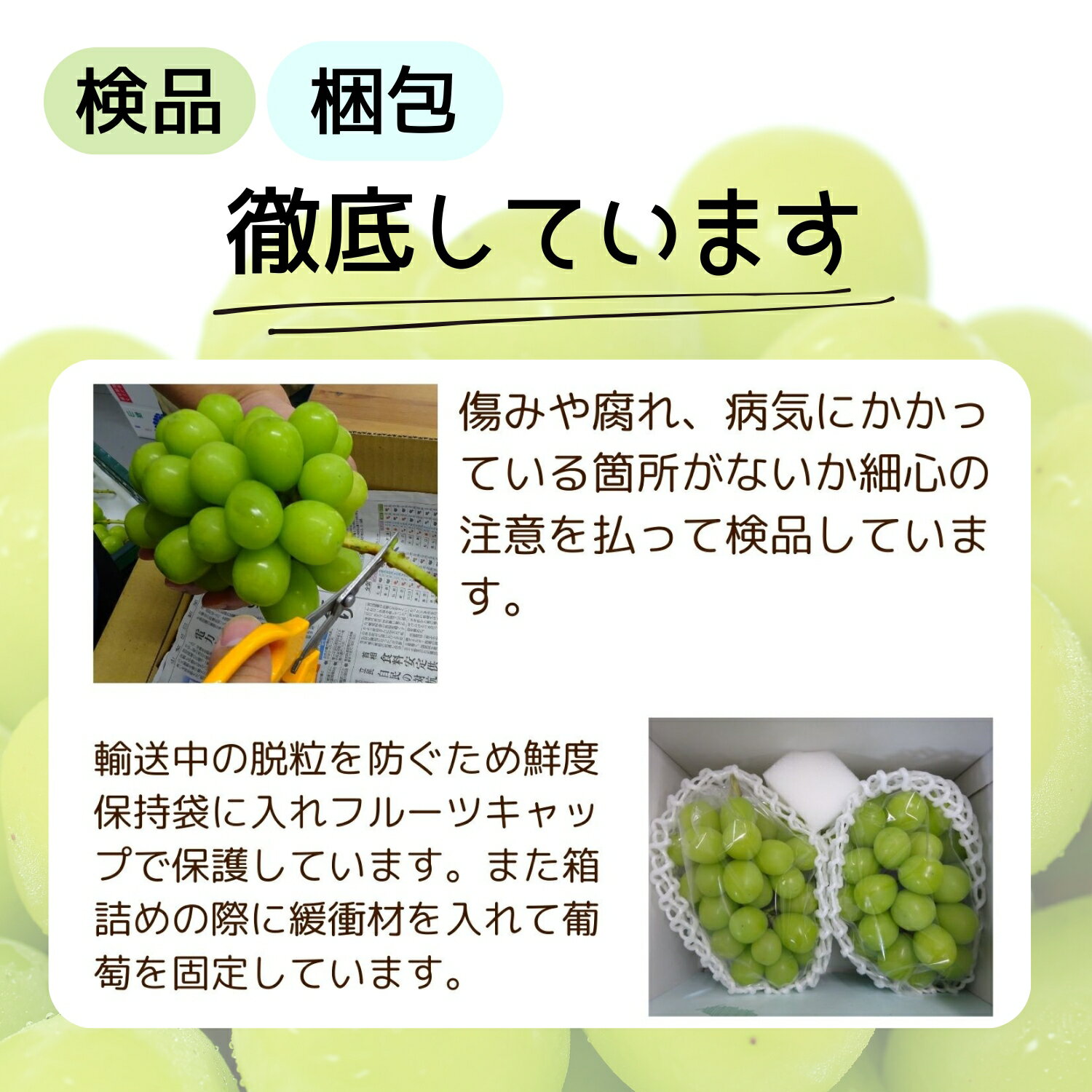 山梨県笛吹市の画像3