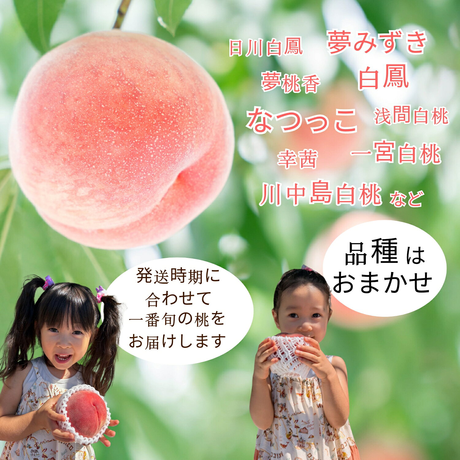 山梨県笛吹市の画像2