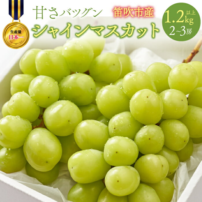 【ふるさと納税】＜2025年発送＞甘�