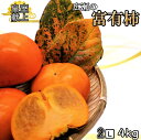 14位! 口コミ数「0件」評価「0」＜2024年先行予約＞甘柿の王様　広瀬の富有柿 4kg 2Lサイズ 約12～15玉 ふるさと納税 人気 おすすめ ランキング 柿 富有柿 笛･･･ 