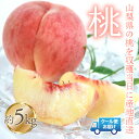 【ふるさと納税】<2025年発送>桃 5kg 株式会社華栄牛産 ふるさと納税 人気 おすすめ ランキング もも 桃 国産 人気 期間限定 果物 フルーツ 旬 山梨県 笛吹市 送料無料 179-006
