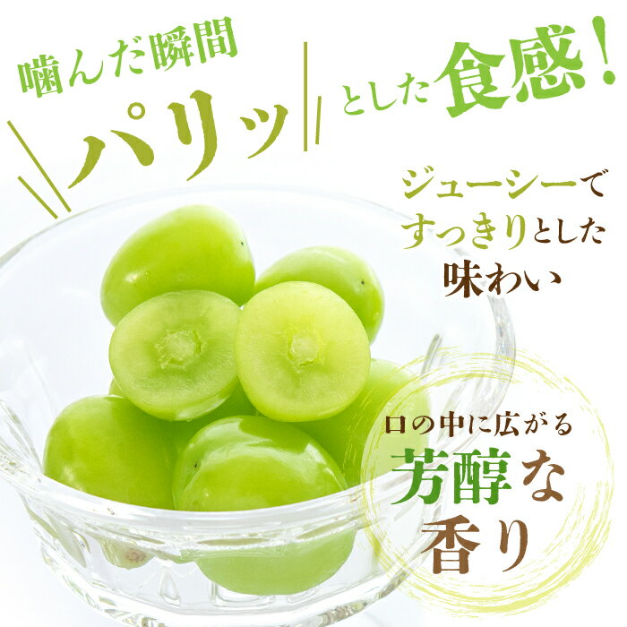 【ふるさと納税】＜2024年先行予約＞山梨県産 シャインマスカット2.5kg以上（4～6房）大容量 ふるさと納税 果物 くだもの フルーツ 農家直送 山梨県 笛吹市 数量限定 人気 シャインマスカット ぶどう 旬 予約 ブドウ 先行 産地直送 農家 果実 ご家庭用 葡萄 180-003