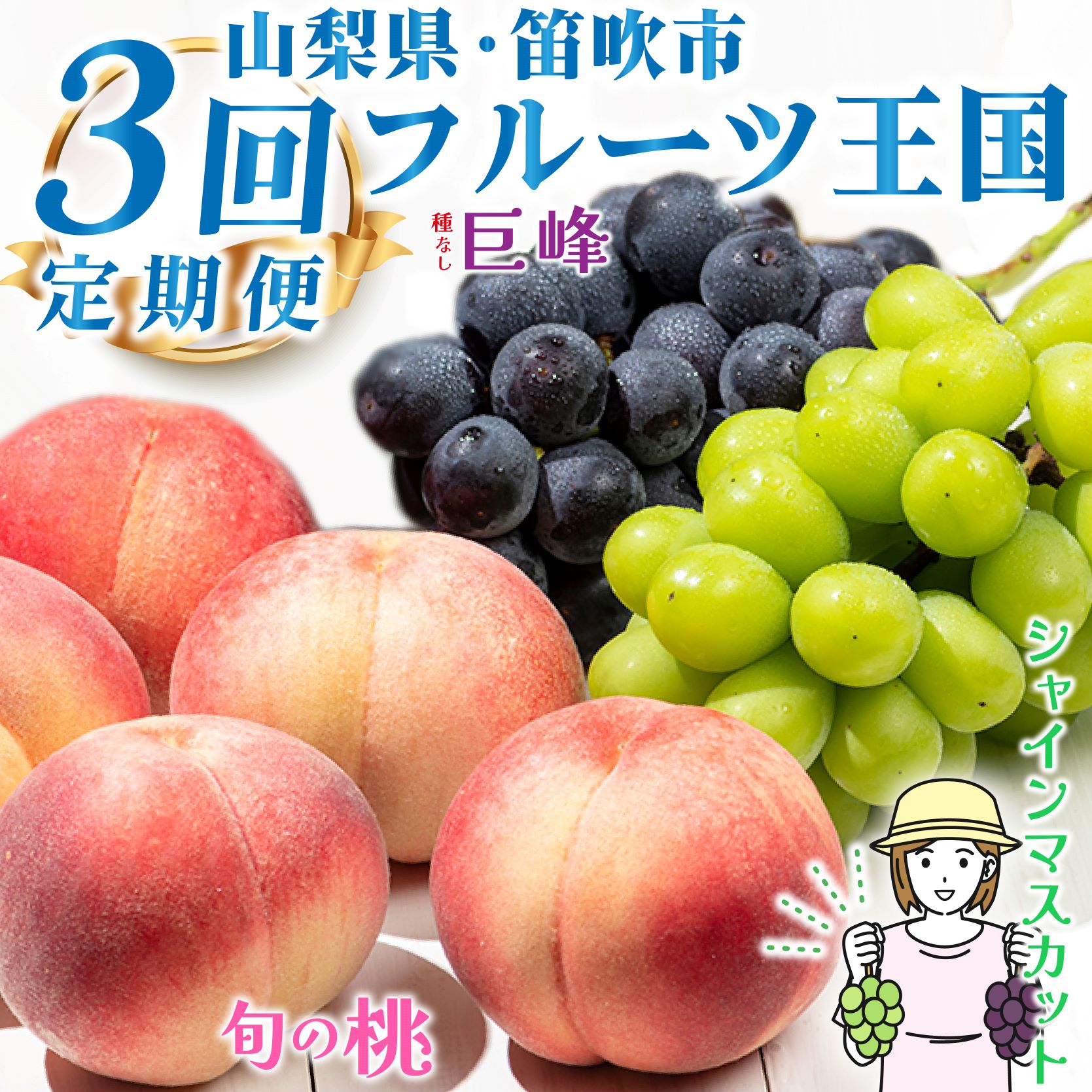 【ふるさと納税】＜2024年先行予約＞【山梨県産 旬の果物 定期便】旬の桃 種無し巨峰 シャインマスカット 3回送り ふるさと納税 おすすめ ランキング シャインマスカット 巨峰 桃 もも笛吹市 国産 人気 ぶどう ブドウ 葡萄 旬 果物 フルーツ 山梨県 送料無料 定期便 180-010