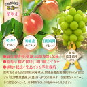 山梨県笛吹市の画像2