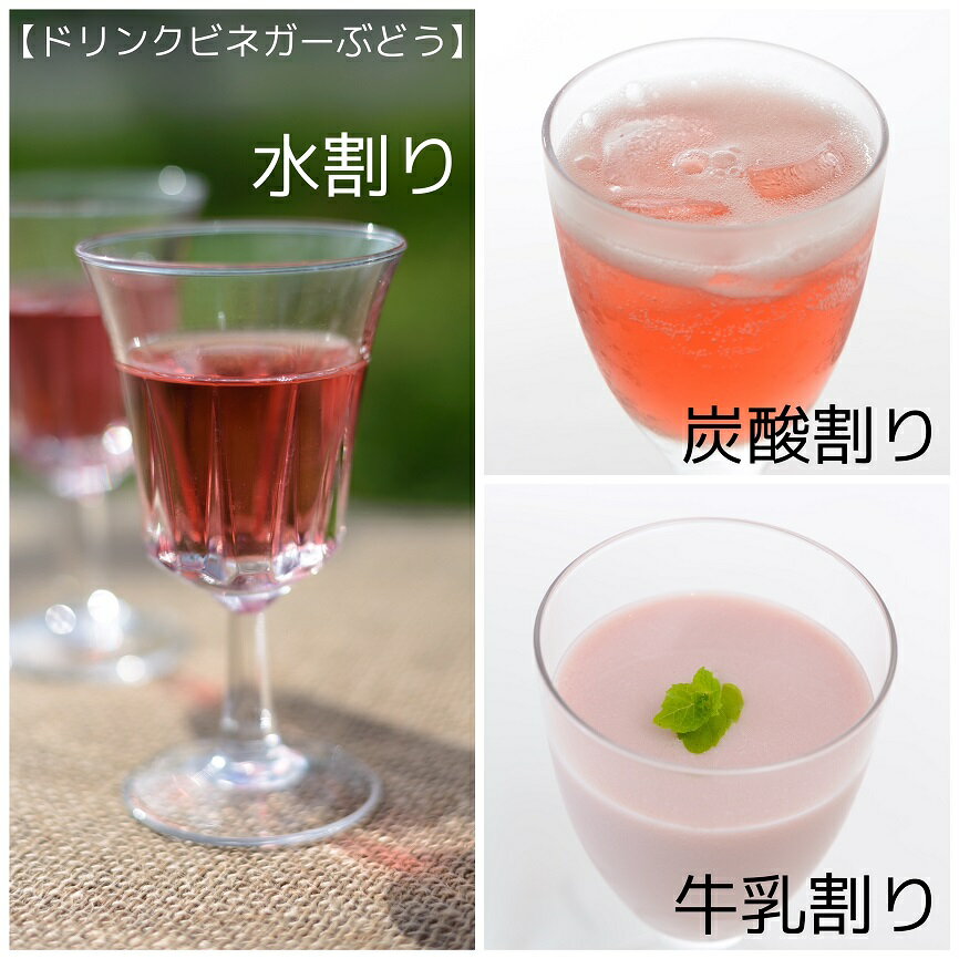 【ふるさと納税】ドリンクビネガー5本セット ふるさと納税 ドリンクビネガー ビネガー 酢 お酢 無添加 手作り 健康 笛吹市 ギフト 贈り物 プレゼント 山梨県 送料無料 182-007