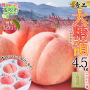 【ふるさと納税】【2026年発送★先行予約】桃 秀品 4.5kg 大糖領 糖度12%以上※クール便配送 ふるさと納税 もも 桃 笛吹市 国産 人気 期間限定 果物 フルーツ ギフト 贈り物 プレゼント 贈答品 旬 山梨県 送料無料 177-003