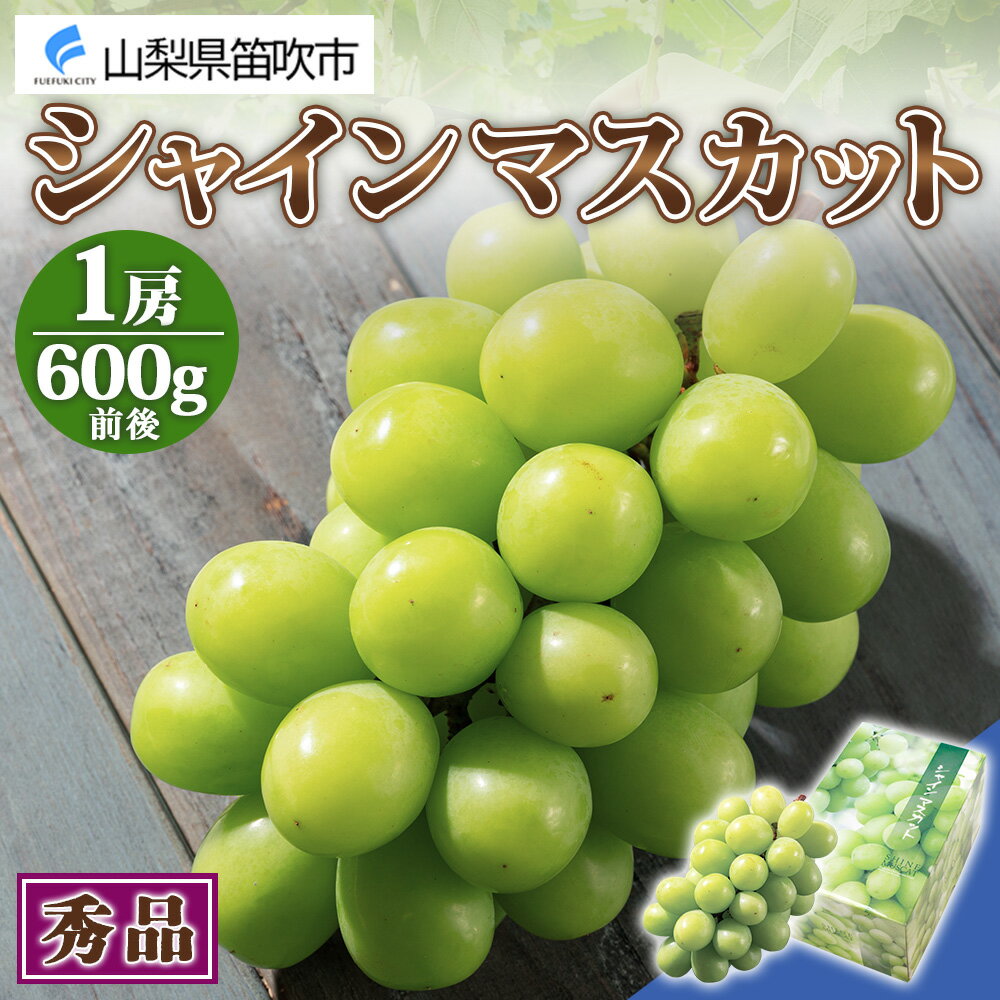 【ふるさと納税】＜2024年先行予約＞シャインマスカット 1房 600g前後 クール便配送 ふるさと納税 シャインマスカット 笛吹市 国産 人気 期間限定 ぶどう ブドウ 葡萄 旬 果物 フルーツ ギフト 贈り物 プレゼント 山梨県 送料無料 先行予約 177-008