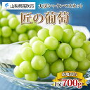 【ふるさと納税】<25年発送先行予約>露地山梨県産 シャインマスカット 1房約700g程度 ふるさと納税 シャインマスカット 笛吹市 国産 人気 期間限定 ぶど...