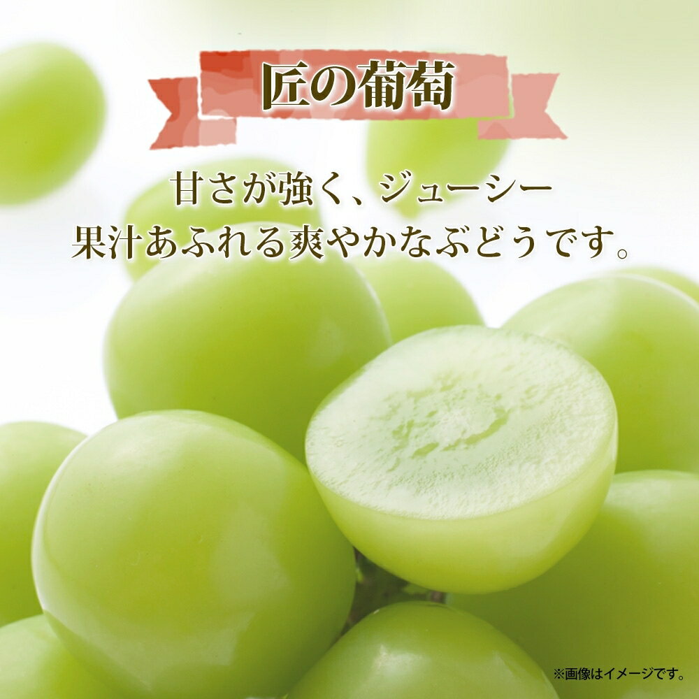 【ふるさと納税】＜2024年先行予約＞露地山梨県産 シャインマスカット 1房約700g程度 ふるさと納税 シャインマスカット 笛吹市 国産 人気 期間限定 ぶどう ブドウ 葡萄 旬 果物 フルーツ ギフト 贈り物 プレゼント 山梨県 送料無料 先行予約 177-012