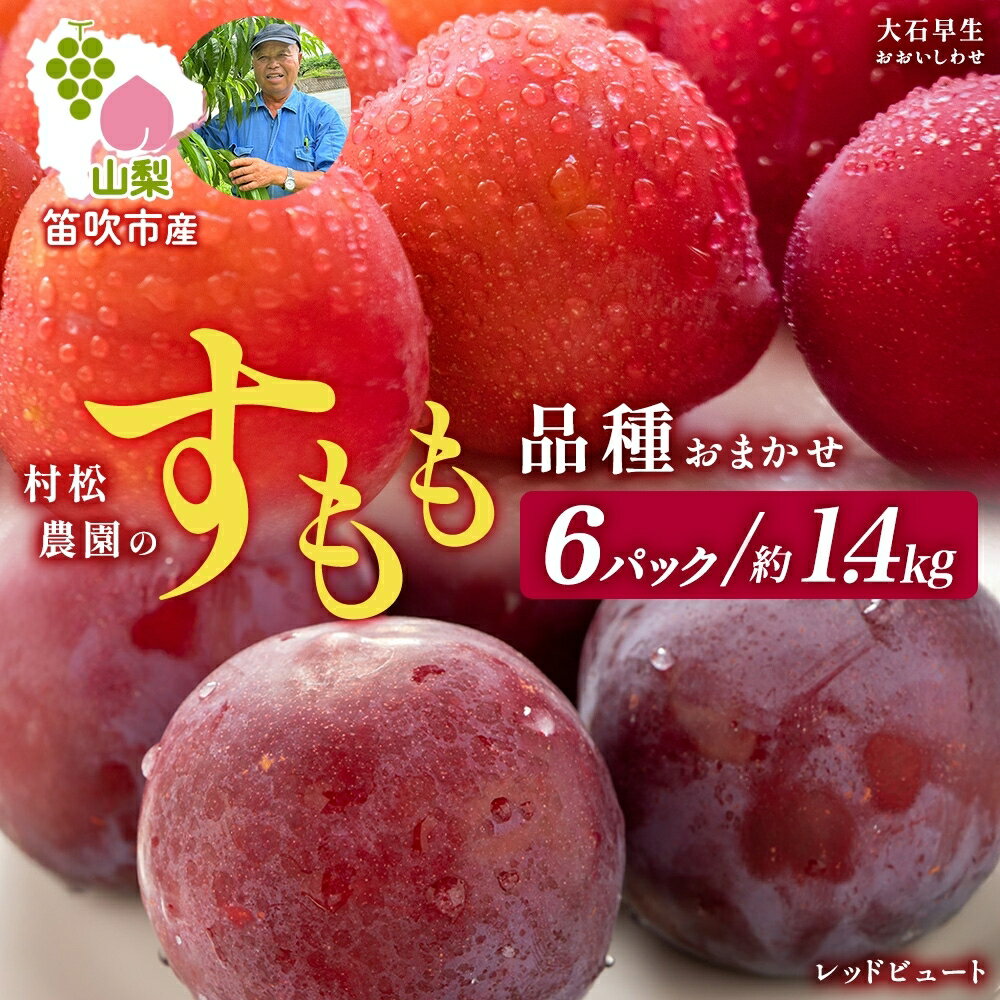 [2026年発送★先行予約]すもも 品種おまかせ 6パック 約1.4kg 大石早生 レッドビュート スモモ プラム フルーツ 果物 産地直送 旬 果実 甘酸っぱい 爽やか 果汁 ジューシー こだわり 新鮮 人気 美味しい おやつ ギフト 村松農園 山梨県 笛吹市 177-5-013