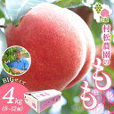 【ふるさと納税】<25年発送先行予約>山梨県 笛吹市産 桃 4kg 8〜12玉 もも モモ 白桃 旬 産地直送 大玉 完熟 果物 フルーツ 新鮮 人気 美味しい...