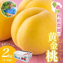 【ふるさと納税】<25年発送先行予約>村松農園 黄金桃 2kg 4~6玉 もも モモ 桃 黄桃 旬 産地直送 大玉 完熟 果物 フルーツ 新鮮 人気 美味しい 贈答 ギフト お中元 村松農園 送料無料 笛吹市 177-5-005