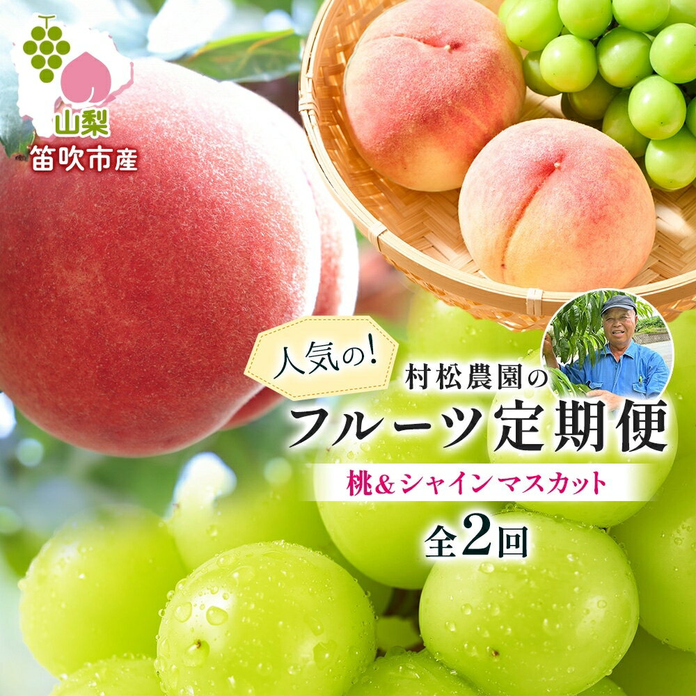 [2026年発送★先行予約][定期便全2回]桃 シャインマスカット 人気のフルーツ定期便 村松農園 もも モモ 白桃 ぶどう ブドウ 旬 産地直送 大玉 完熟 果物 フルーツ 新鮮 人気 美味しい 贈答 ギフト お中元 村松農園 送料無料 笛吹市 177-5-012