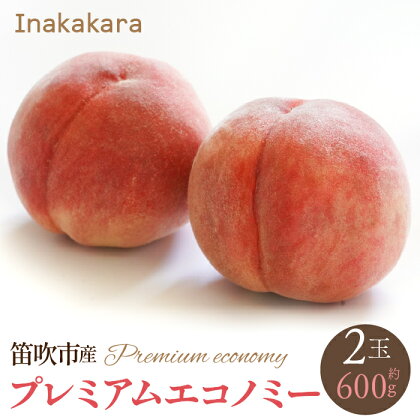 ＜2024年先行予約＞【笛吹市産】Inakakara　プレミアムエコノミー 桃2玉(1玉約300g) ふるさと納税 おすすめ ランキング もも 桃 笛吹市 国産 人気 期間限定 果物 フルーツ 旬 山梨県 送料無料 192-021