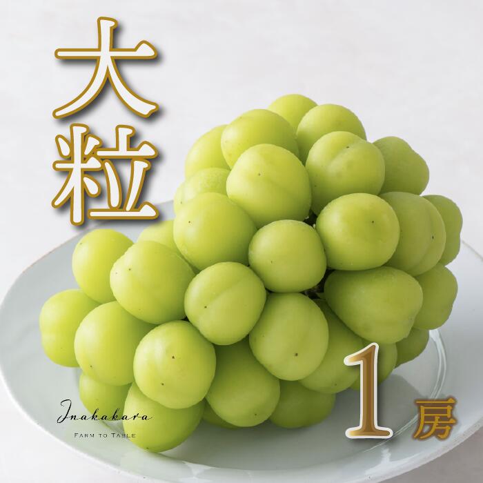 【ふるさと納税】【2026年発送★先行予約】Inakakara 一宮の大粒&大房シャインマスカット1房 (約700g） ..