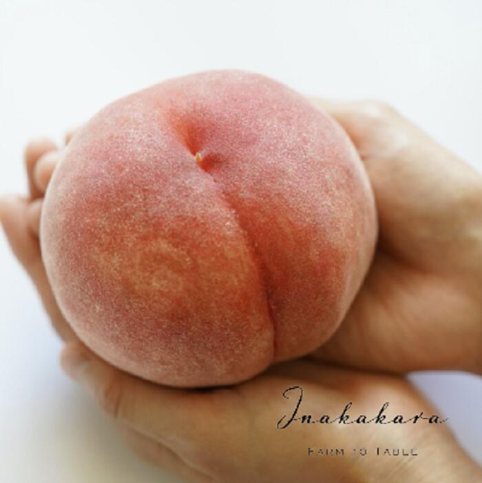 山梨県笛吹市の画像2