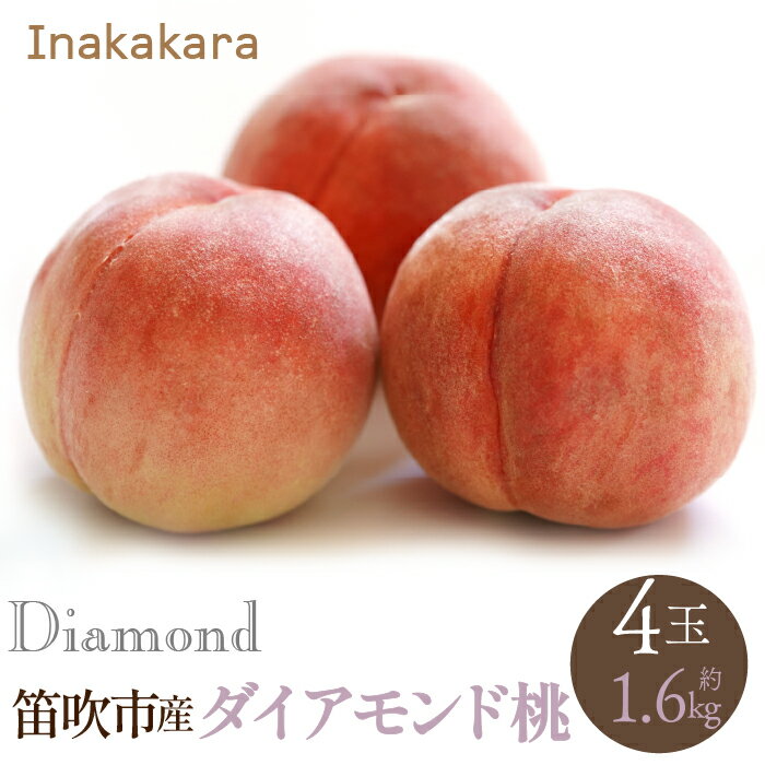 【ふるさと納税】＜2024年先行予約＞【笛吹市産】Inakakara ダイアモンド桃4玉(約1.6kg) ふるさと納税 おすすめ ランキング もも 桃 笛吹市 国産 人気 期間限定 果物 フルーツ 旬 山梨県 送料無料 192-009･･･