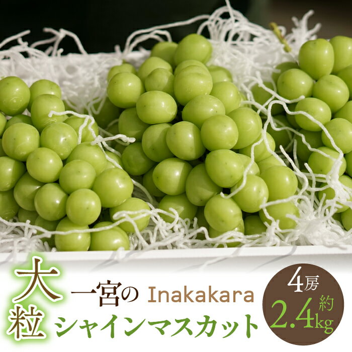 ڤդ뤵Ǽǡۡ2024ǯͽInakakara ܤγ㥤ޥå4˼ (2.4kg դ뤵Ǽ  󥭥 㥤ޥå γ ū  ͵ ָ ֤ɤ ֥ɥ ƺ  ʪ ե롼  ̵ 192-013