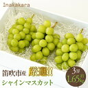 商品情報 商品名 Inakakara厳選！笛吹市産シャインマスカット 内容量 3房　約1.65kg 発送時期 2024年8月下旬〜9月下旬に順次発送を予定しています。 ただし、気候によって変動する可能性があります。 賞味期限 出荷日から4日 保存方法：冷蔵保存 注意事項 《注意》 ※画像はイメージです。 ※種なしの品種の場合もまれに種が入る場合がございます。 ※配送時の揺れや傾きにより、若干の傷や脱粒が生じる場合がございます。 ※生鮮食品ですので期限は目安となります。到着後は状態をよく確認の上、食べ頃の目安を確認の上、お早めにお召し上がりください。 ※ご不在時等に返礼品を受け取れなかった場合の再出荷は致しかねます。 ※天候により出荷時期が遅れる場合があります。 ※天候状況や栽培状況により色付き・味覚について差が出ることがございます。農作物につき何卒ご理解ください。 『重要なお知らせ』 2024年発送分の先行受付となります。 大変多くのお申し込みが予想される為、発送時期で表示した期間に『寄付受付順』でお送り致しますので、希望日に添えずお待ちいただく場合がございます。予めご了承いただきますようお願い致します。 事業者 株式会社アクロプラス ［地場産品基準（該当する類型|類型に該当する理由）］ 1|当市における生産品。区域内において栽培されている。 ・ふるさと納税よくある質問はこちら ・寄付申込みのキャンセル、返礼品の変更・返品はできません。あらかじめご了承ください。 　【ふるさと納税】先行予約 2024年発送　Inakakara厳選！笛吹市産シャインマスカット3房（約1.65kg）葡萄 ぶどう ブドウ 果物 フルーツ 笛吹 ふえふき※沖縄県及び離島への配送はできませんので予めご了承ください。※冷蔵配送となります。 山梨県笛吹市はぶどうの生産量が日本一の市です。 笛吹市は日照時間も長く、降雨量も少ないため甘く美味しいぶどうがたくさん作られています。 Inakakaraで厳選したシャインマスカットは糖度が高く、口の中に入れるとパリッと薄皮から果汁が溢れ出します。 また、種がなく皮ごとそのまま食べられるので小さいお子様から大人まで幅広い方に大人気です。 農家さんが朝収穫したものをそのまま直送し、お客様へお届けします。 【Inakakara -Farm to Table-】 本物には、強い「想い」「こだわり」があります。 また、本物の「美味しさ」は笑顔を生む力があり、笑顔がある場所には「幸せ」があります。 自然豊かな山梨の地で育てた果実や野菜を旬を迎えたその瞬間の「美味しさ」、土地で暮らす地元の方々の「想い」「こだわり」を山梨のInakakara、日本各地・海外のテーブルへお届けするプレミアムな産地直送サービスです。 《注意》 ※画像はイメージです。 ※種なしの品種の場合もまれに種が入る場合がございます。 ※配送時の揺れや傾きにより、若干の傷や脱粒が生じる場合がございます。 ※生鮮食品ですので期限は目安となります。到着後は状態をよく確認の上、食べ頃の目安を確認の上、お早めにお召し上がりください。 ※ご不在時等に返礼品を受け取れなかった場合の再出荷は致しかねます。 ※天候により出荷時期が遅れる場合があります。 ※天候状況や栽培状況により色付き・味覚について差が出ることがございます。農作物につき何卒ご理解ください。 『重要なお知らせ』 2024年発送分の先行受付となります。 大変多くのお申し込みが予想される為、発送時期で表示した期間に『寄付受付順』でお送り致しますので、希望日に添えずお待ちいただく場合がございます。予めご了承いただきますようお願い致します。 8