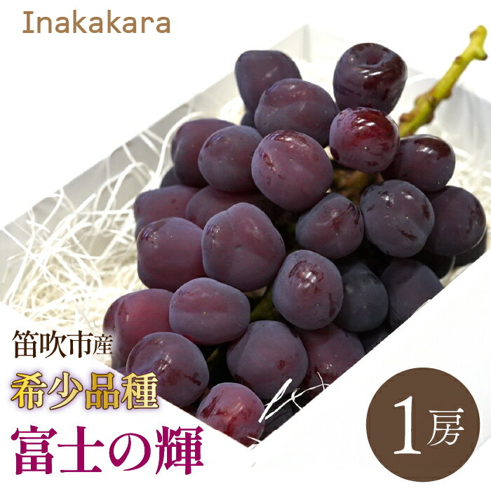 [2026年発送★先行予約] Inakakara 希少品種「富士の輝」1房(約600~650g) 192-024-26y ふるさと納税 おすすめ ランキング ぶどう ブドウ 葡萄 笛吹市 国産 人気 期間限定 果物 フルーツ 旬 山梨県 送料無料 192-024