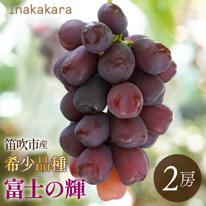 217位! 口コミ数「0件」評価「0」【2026年発送★先行予約】　Inakakara 希少品種「富士の輝」2房(約1.1kg~1.3kg) 192-024-26y ふるさと納税 おすすめ ランキング ぶどう ブドウ 葡萄 笛吹市 国産 ･･･ 