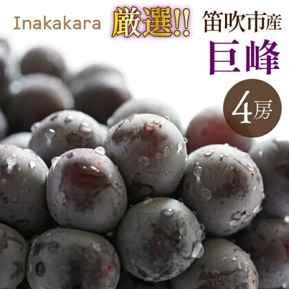 ＜2024年先行予約＞Inakakara厳選！巨峰4房 ふるさと納税 おすすめ ランキング 巨峰 笛吹市 国産 人気 期間限定 ぶどう ブドウ 葡萄 旬 果物 フルーツ 山梨県 送料無料 192-030