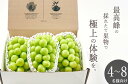 【ふるさと納税】<25年発送先行予約>笛吹市産 大粒シャインマスカット 3房入り 約2.1kg ふるさと納税 おすすめ ランキング シャインマスカット 大粒 笛...