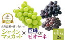 【ふるさと納税】<25年発送先行予約> 厳選!! 池田青果の【大人気ぶどう2種盛り合わせ】シャインマスカット・巨峰 or ピオーネ(1.0kg) (沖縄・離島配送不可) 期間限定 ランキング ぶどう おすすめ 贈答 ギフト 中元 お盆 旬 果物 フルーツ 笛吹市 送料無料 173-002
