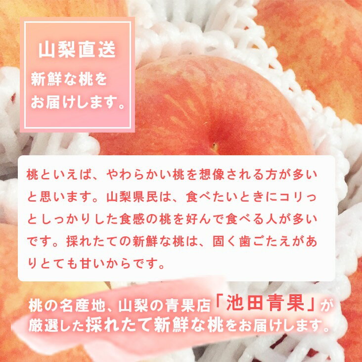 【ふるさと納税】＜2024年先行予約＞厳選!!池田青果の桃　3kg　8～13玉 ふるさと納税 もも 桃 笛吹市 国産 人気 期間限定 果物 フルーツ 旬 山梨県 送料無料 173-005