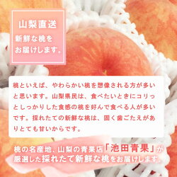 【ふるさと納税】先行予約 桃 3キロ 8玉〜12玉 池田青果 厳選 フルーツ もも モモ 産地直送 笛吹 山梨県産 ※沖縄県・離島への発送不可となります。※常温配送･･･ 画像1