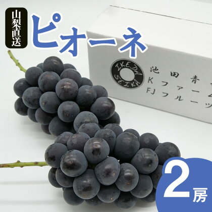 ＜2024年先行予約＞厳選!! 池田青果のピオーネ　1.0kg　2房 ふるさと納税 ピオーネ 笛吹市 国産 人気 期間限定 ぶどう ブドウ 葡萄 果物 フルーツ 173-008