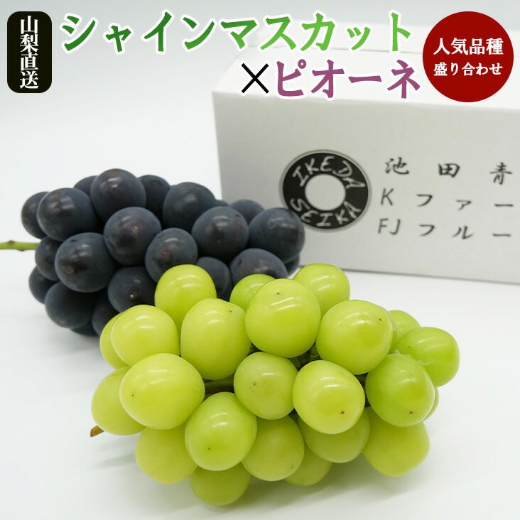 【ふるさと納税】＜2024年先行予約＞厳選!! 池田青果の【大人気ぶどう2種盛り合わせ】シャインマスカット・巨峰 or ピオーネ（1.0kg） ふるさと納税 シャインマスカット 巨峰 ピオーネ 笛吹市 国産 人気 期間限定 ぶどう ブドウ 葡萄 果物 フルーツ 173-002