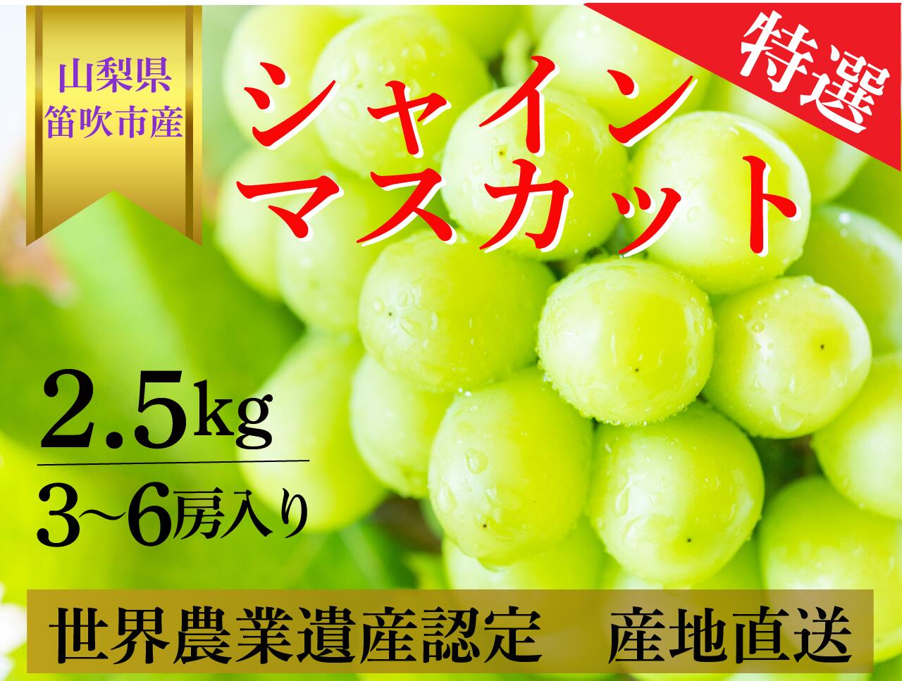 【ふるさと納税】厳選！笛吹市のシャインマスカット［2.5kg］（3〜6房）フルーツ大国！山梨県笛吹市より産地直送 フルーツ 産直 シャイン シャインマスカット 2.5kg　青果　笛吹市　笛吹　山梨のサムネイル